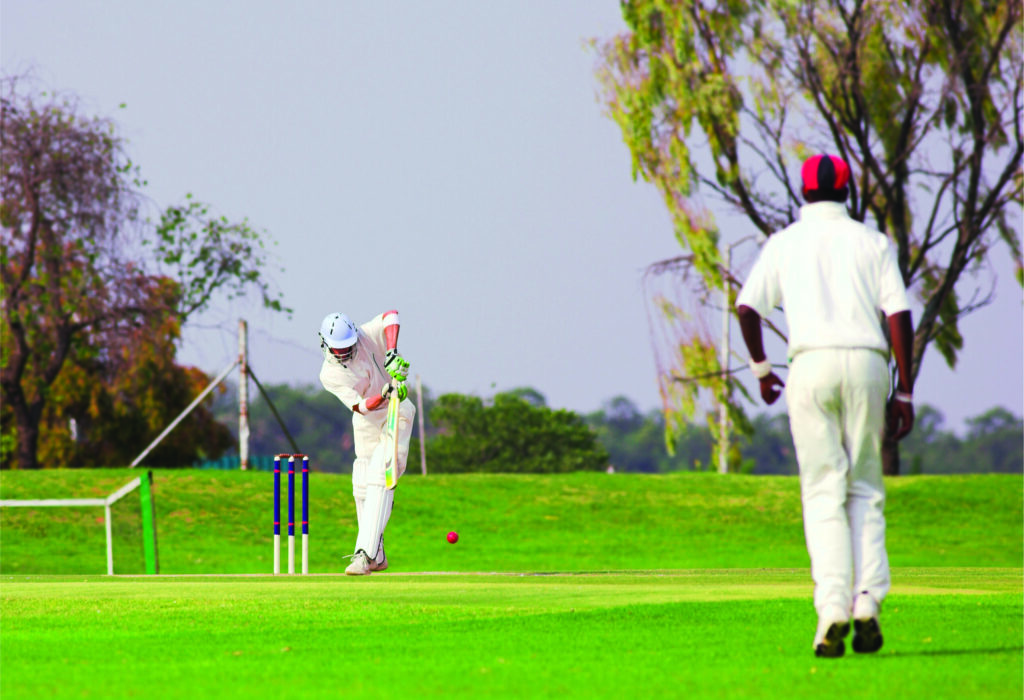 Advitya aminities Cricket pitch